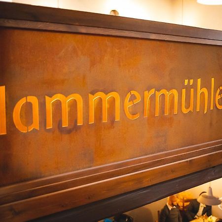 Hessischer Hof Ober-Ramstadt Bagian luar foto
