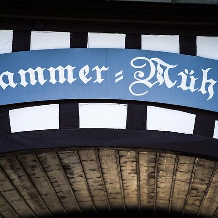 Hessischer Hof Ober-Ramstadt Bagian luar foto