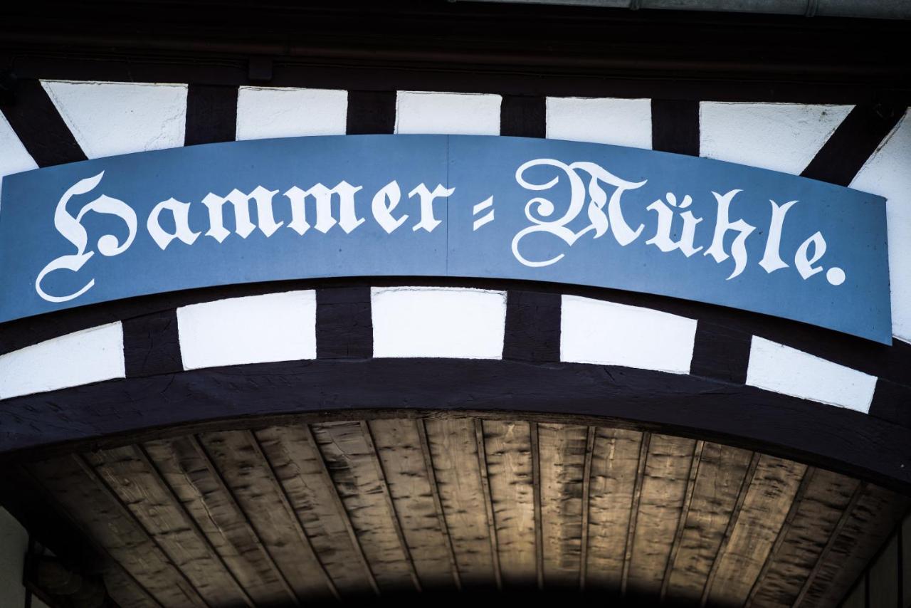 Hessischer Hof Ober-Ramstadt Bagian luar foto